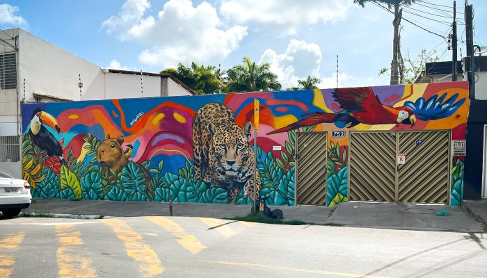 GRAFFITI RESIDENCIA ANIMAIS BRASILEIROS